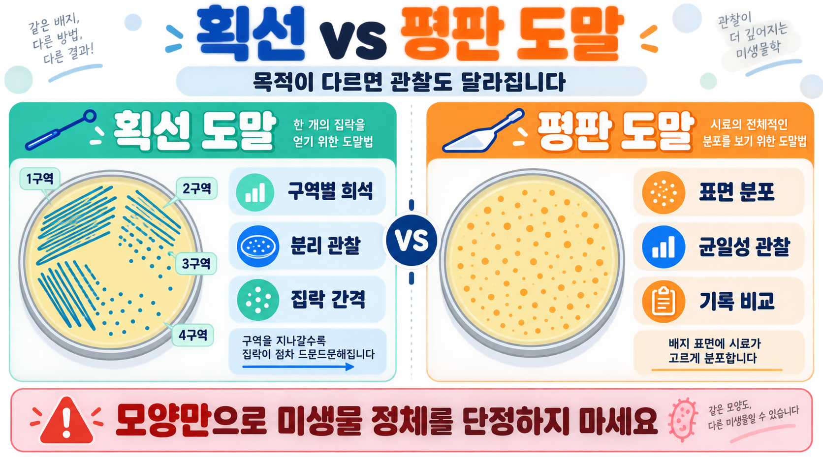 도말법(획선·평판 도말) 원리와 안전한 실험실 기본 관련 정보 카드