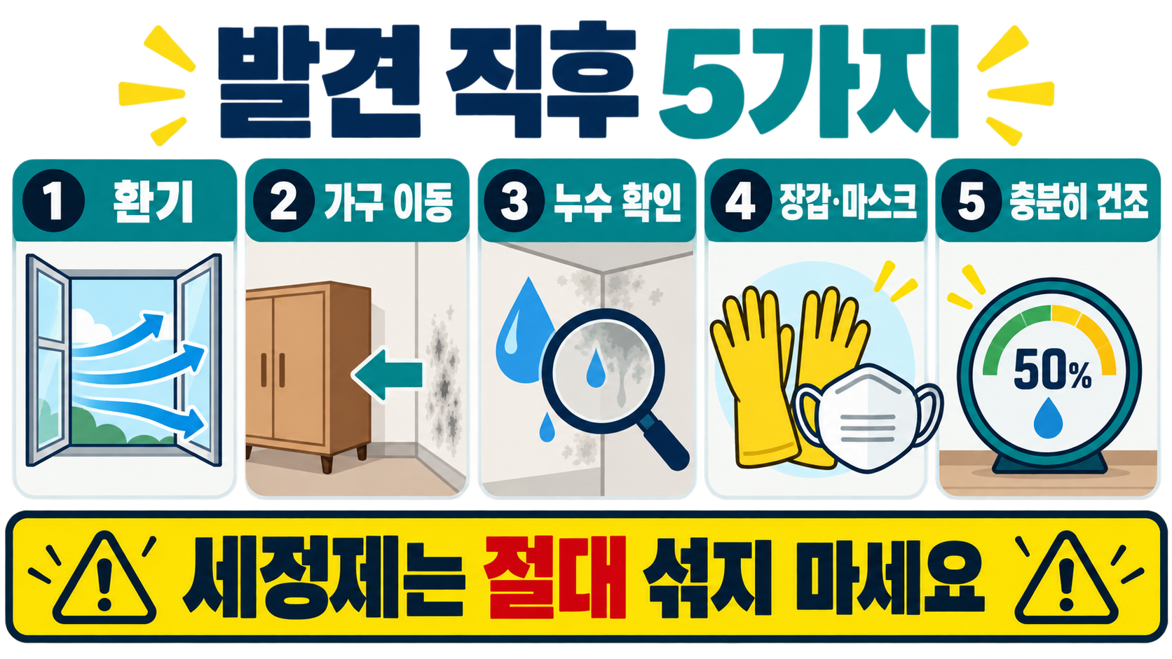 벽지 곰팡이와 결로, 발견부터 예방까지 안전 대처 가이드 관련 정보 카드