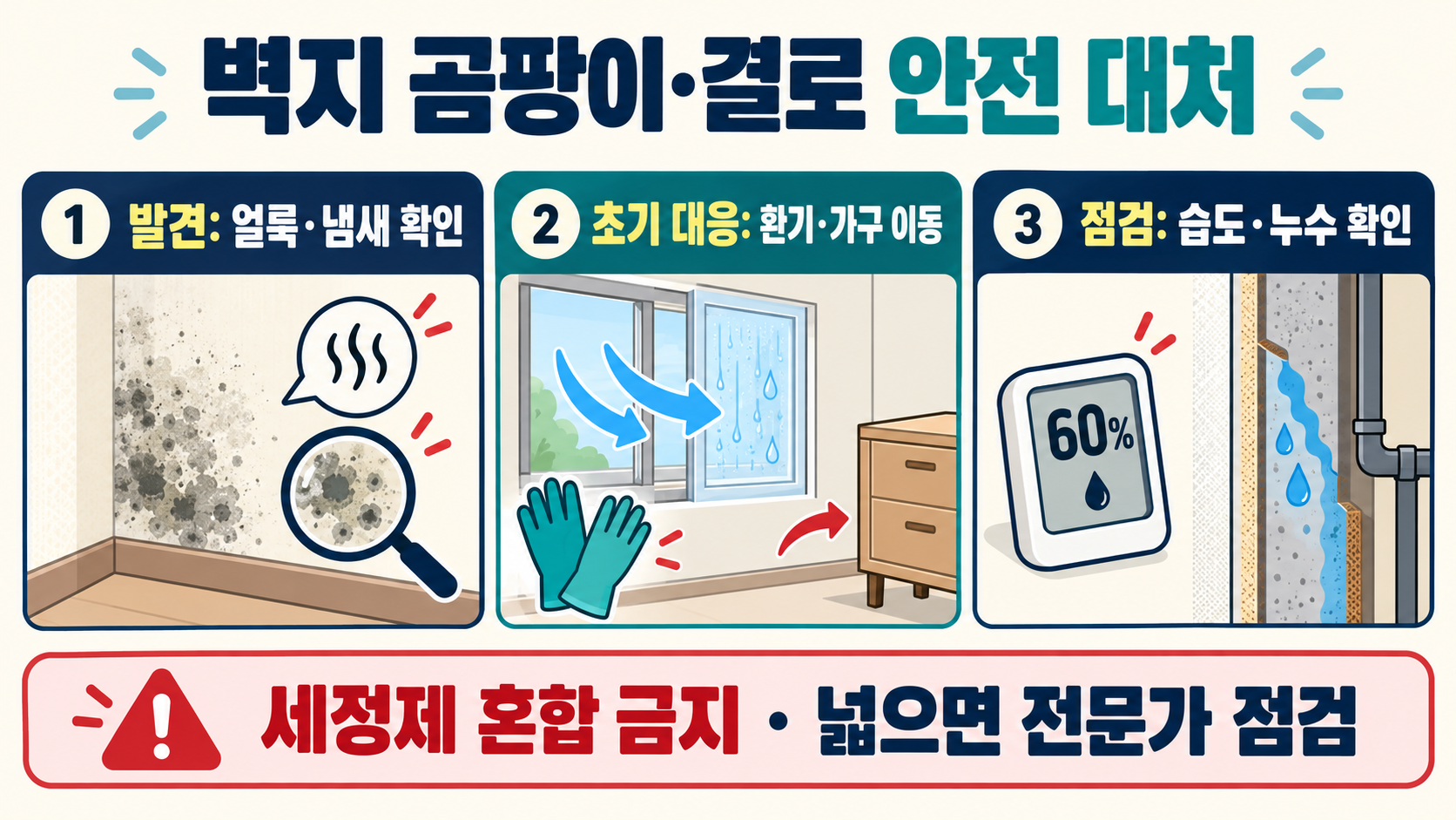 벽지 곰팡이와 결로, 발견부터 예방까지 안전 대처 가이드 정보 카드